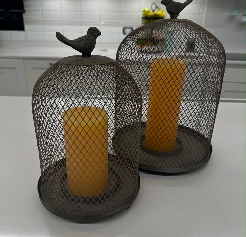 SET FANALES PAJARITO